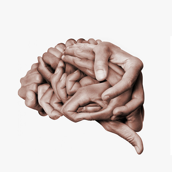Desarrollo Intuitivo transformación
