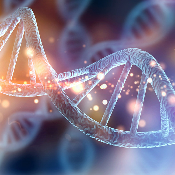 Desarrollo intuitivo desde la epigenetica
